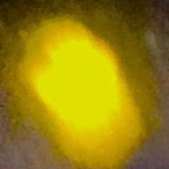 How To Be FIRE How To Be A Flame How To Be FIRE Keep Myself Sane