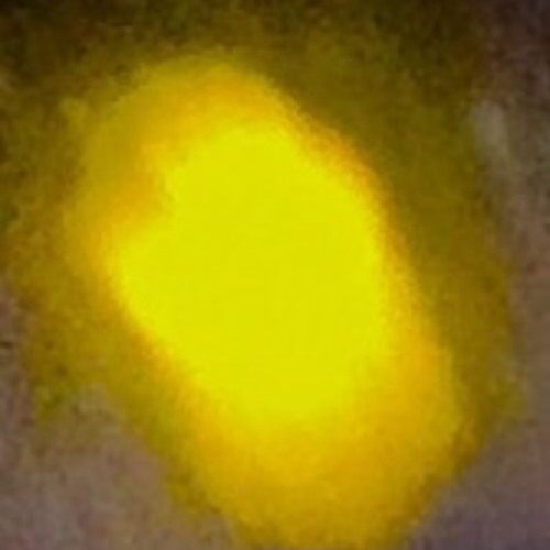 How To Be FIRE How To Be A Flame How To Be FIRE Keep Myself Sane