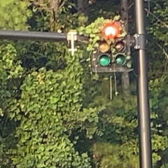 Xay x DaDa1k - NeVeR L3t ğo