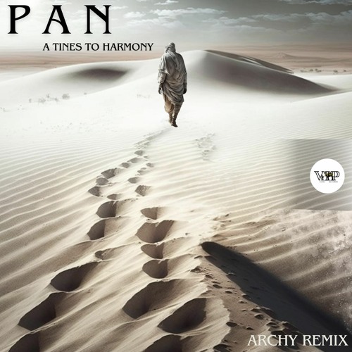 P A N - A Tines To Harmony (Archy Remix)