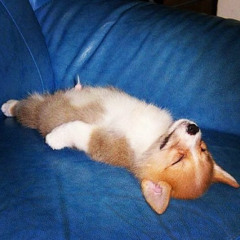 내잘못은아니야