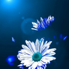 Out Of Bloom : Shion Edition