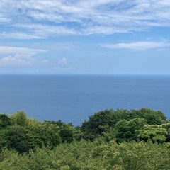cocoon（ 詩：川口晴美 "水の繭期" ）
