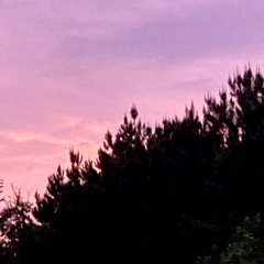 Inverted dimension fnf-half space slowed