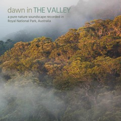 Dawn in the Valley - Royal National Park, Australia - Album Sample