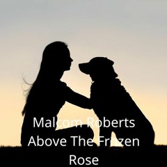 Above The Frozen Rose