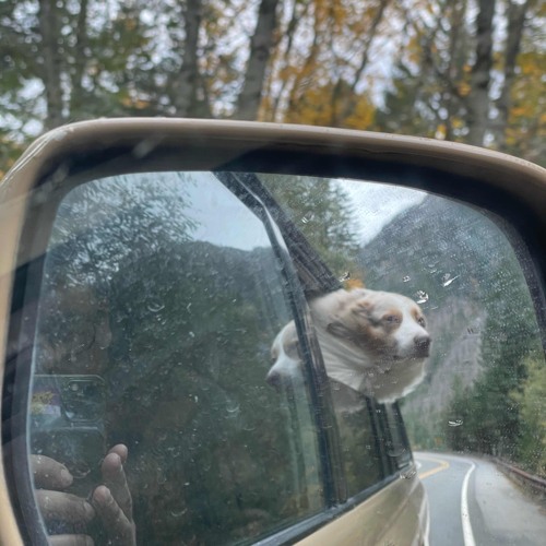 Grateful for this life <3