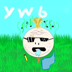 what if im an onion