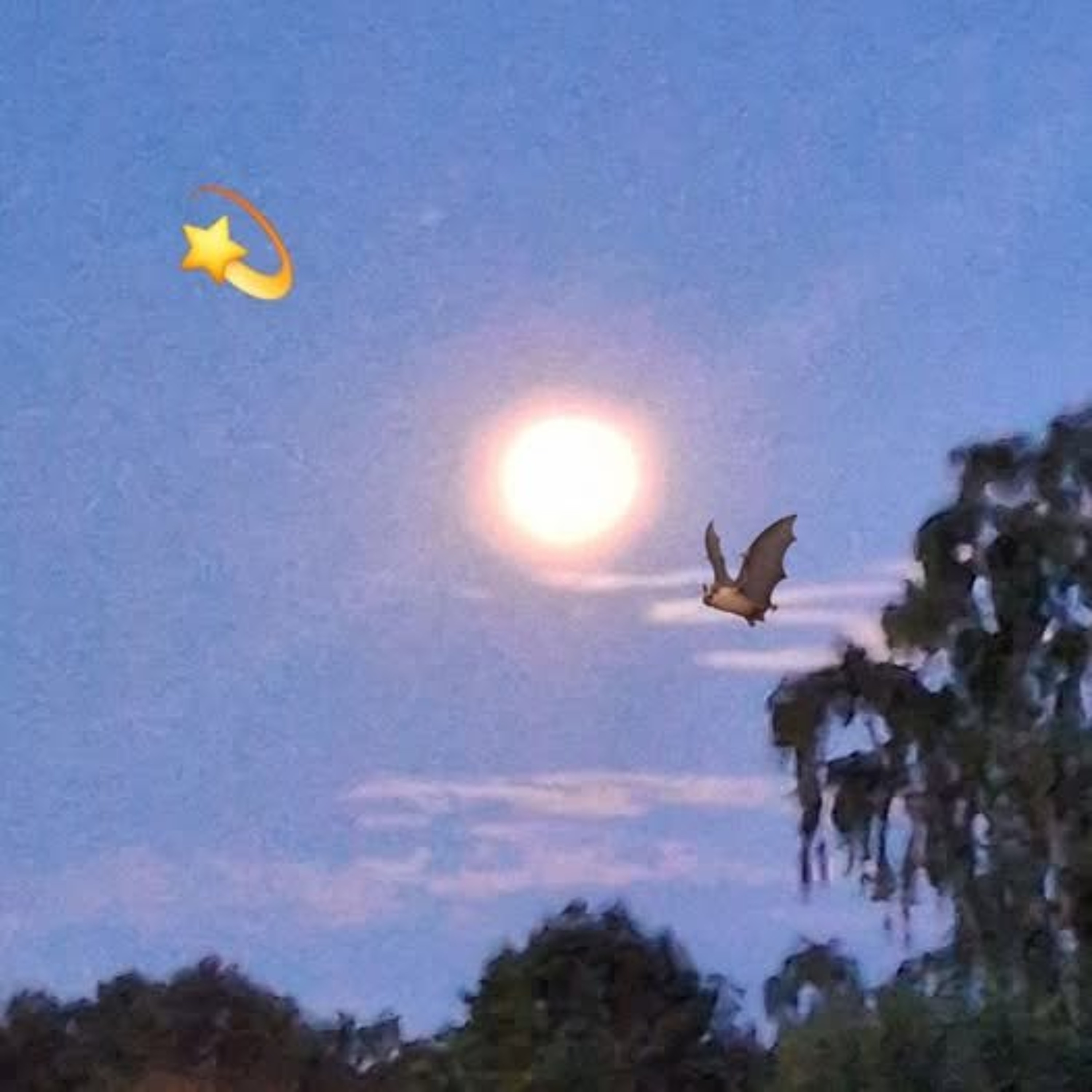 Same sort of UFO in photos all over the world episode artwork