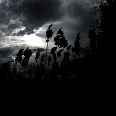 314 Darkness