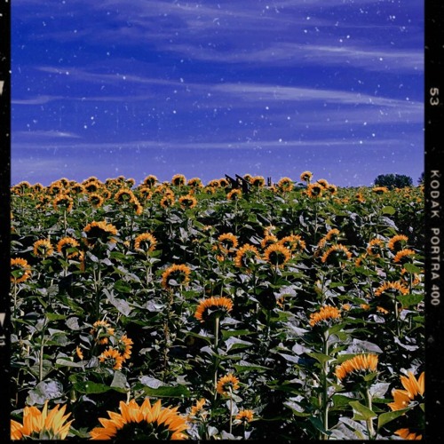 Oops, thosefeelsagain.