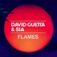 David Guetta Ft. Sia - Flames (Drunken Destroyer Remix) - FREE DOWNLOAD