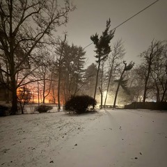 Why I Try (Prod. Vxnie1k x dmo)