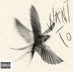 WANT TO (prod. oozy)