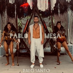 Palo Santo - Pablo Mesa ϟ