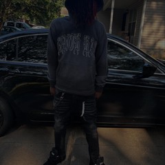 Wild (Prod. 1trvuma + redshinecrystalll)