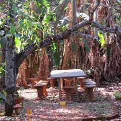 19.04.2021  - Cap. V - Bem Aventurados os Aflitos - Causas Anteriores das Aflições (7)