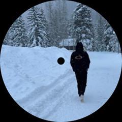 Calvin Harris & Disciples - How Deep Is Your Love (Pete Ginov Edit)