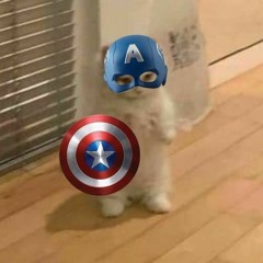 Tell me Mr. President! I need to live in happiness! ‧₊˚♪ 𝄞₊˚⊹