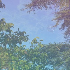 Feodum : Vivie (09.11.25)