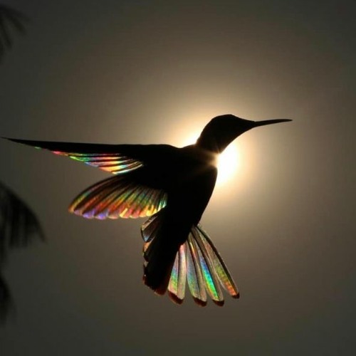 Release