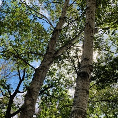 2303 DeepTechno Mix.