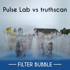 Filter Bubble (Pulse Lab vs truthscan)