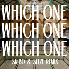 Drake, Central Cee - Which One (Skibo & Sitze Remix)