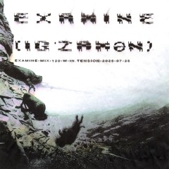 examine-mix-120-w-in.tension-2025-07-25