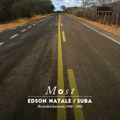 Viajante (feat. João Parahyba, Toninho Horta & Alex Braga)