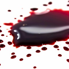 Bleed  (feat OB THE SERVER)