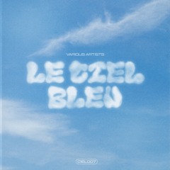 [Premiere] Islyz - Wet Afternoon (VA Le Ciel Bleu out now via Le Ciel Records)