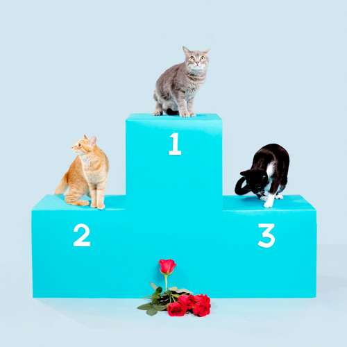 Falling Hard (feat. Madi Diaz)