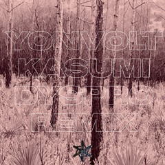 yonvolt - Kasumi (Dyspro Remix)