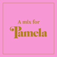 A MIX FOR PAMELA (extended)