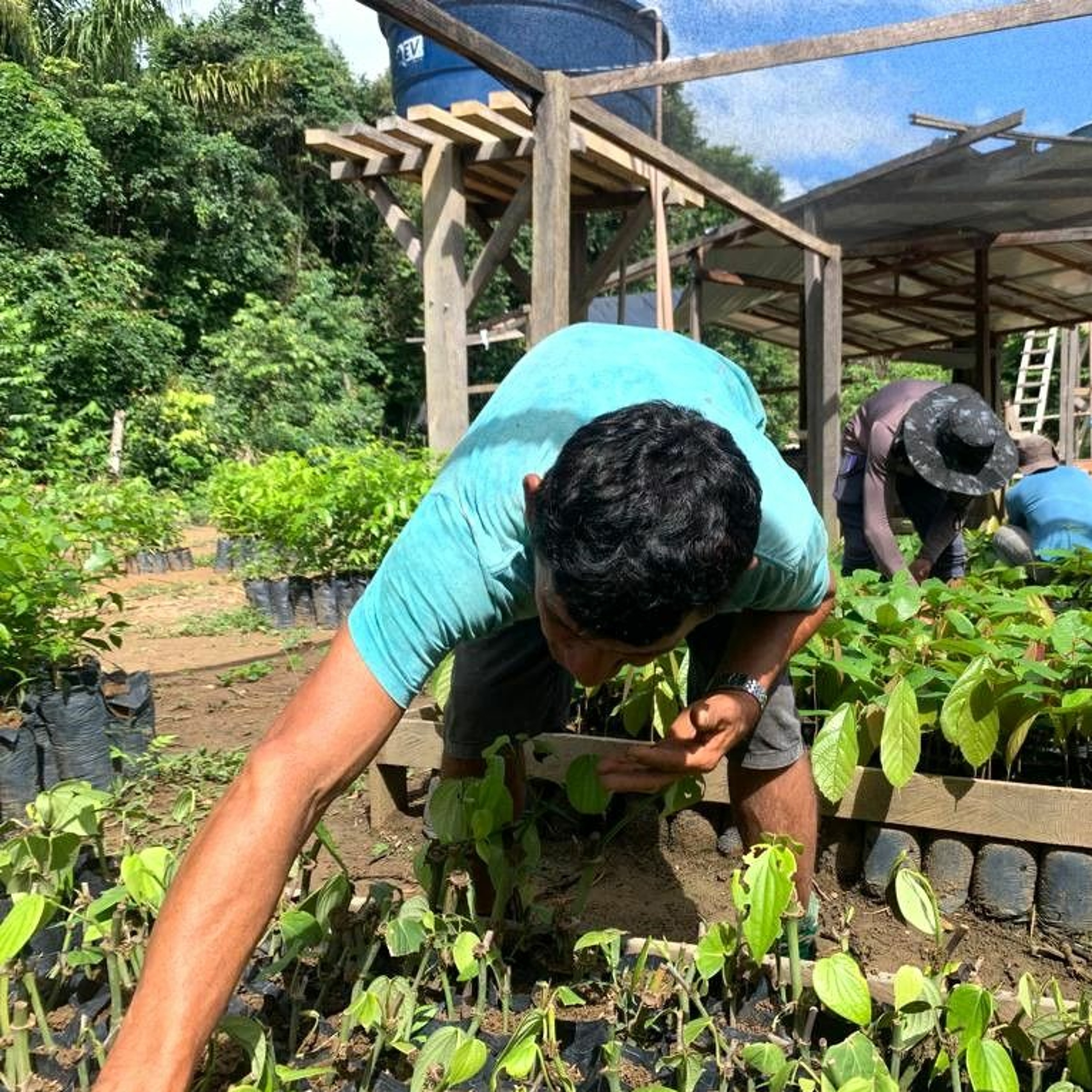 STTR-STM avalia recriação do Conselho Nacional de Desenvolvimento Rural Sustentável extinto em 2019