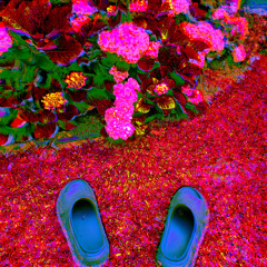 The Summoning - {I'm here now}