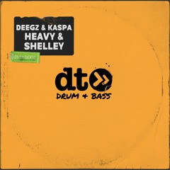 Deegz & Kaspa 'Heavy & Shelley' [dtdnb]