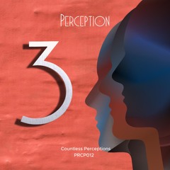 Countless Perceptions 3 - VA [PRCP013 Snippets]