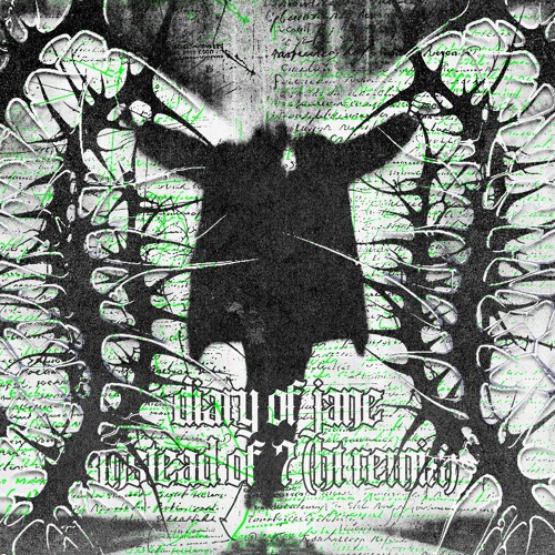 Breaking Benjamin - Diary of Jane (Instead of 7 TECHNO Edit)