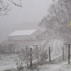 Dec11 . Night . (Fsus4)