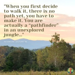 Inner And Outer Will
