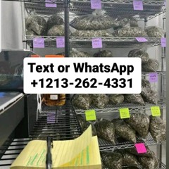 Buy Weed In USA