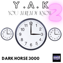 Y.A.K 2