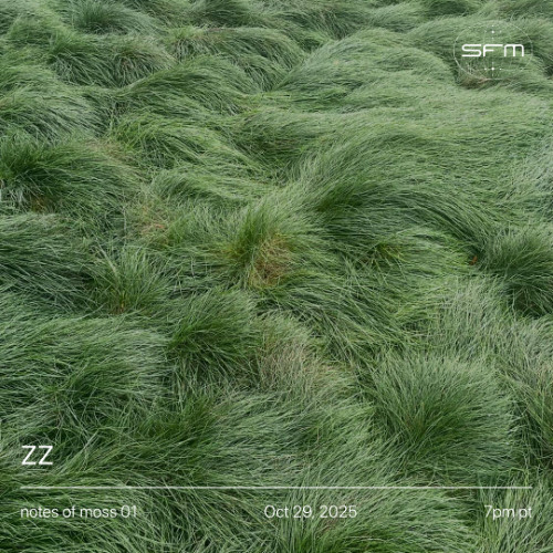 notes of moss 01: zz