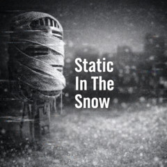 Static In The Snow