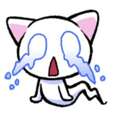 i wont ask for pity