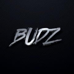 Budz Selectz Vol 2 (UK Bass & Bass House)