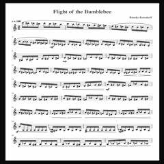 Flight Of The Bumblebee (N. Rimsky-Korsakov)