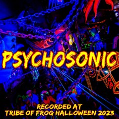 Psychosonic - Recorded at TRiBE of FRoG Halloween - October 2023